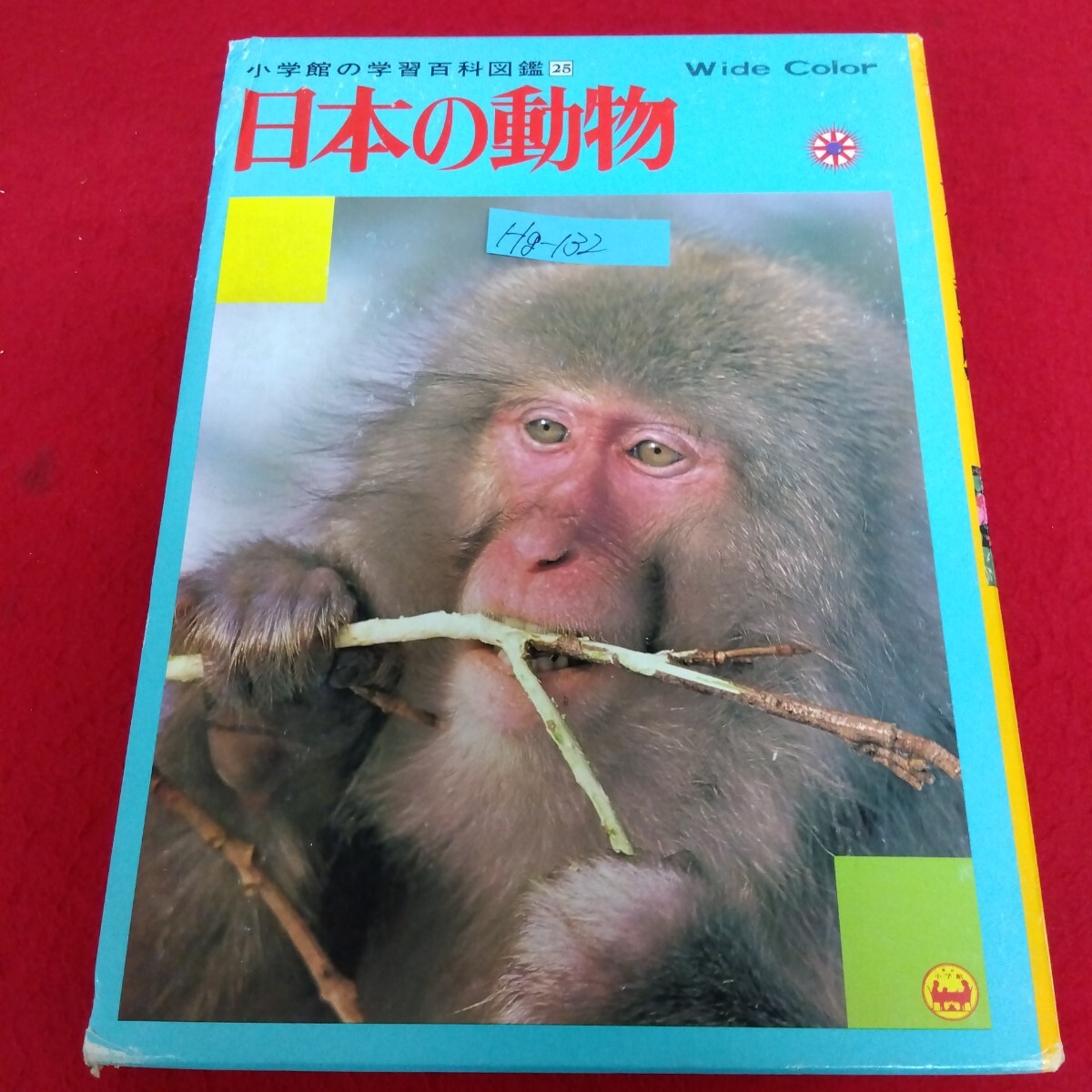 2026年最新】Yahoo!オークション -小学館の学習百科図鑑動物の図鑑(本