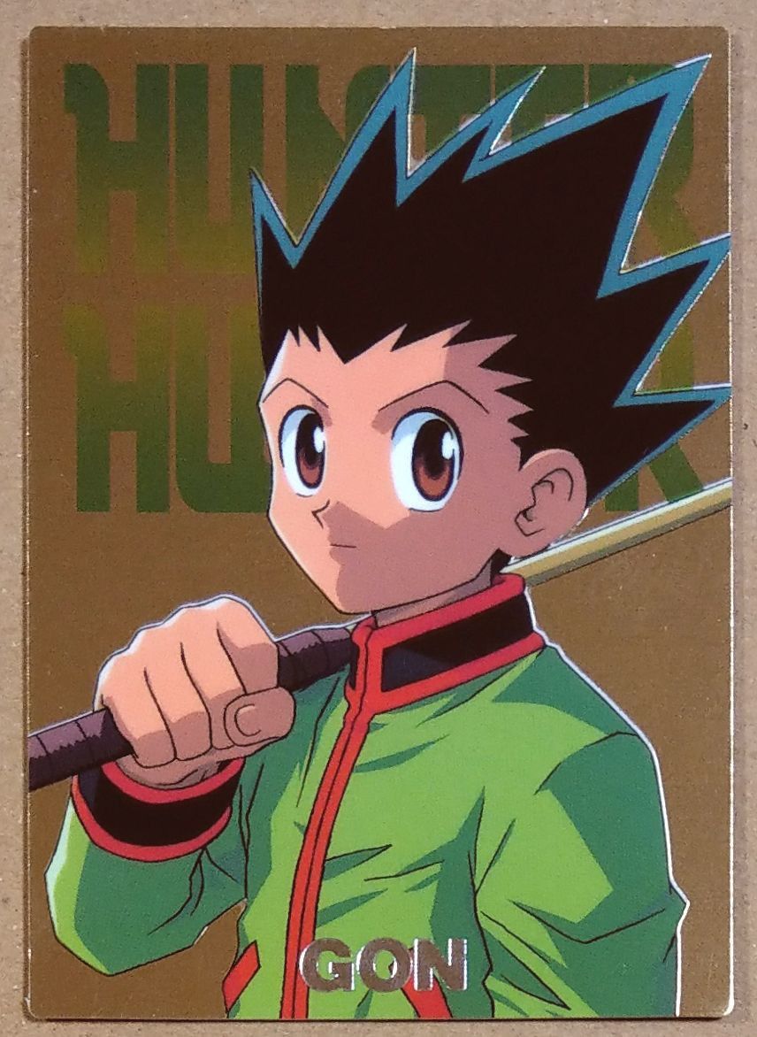 HUNTER×HUNTER カードダスマスターズ 2000初版 ゴン No 10 ハンター