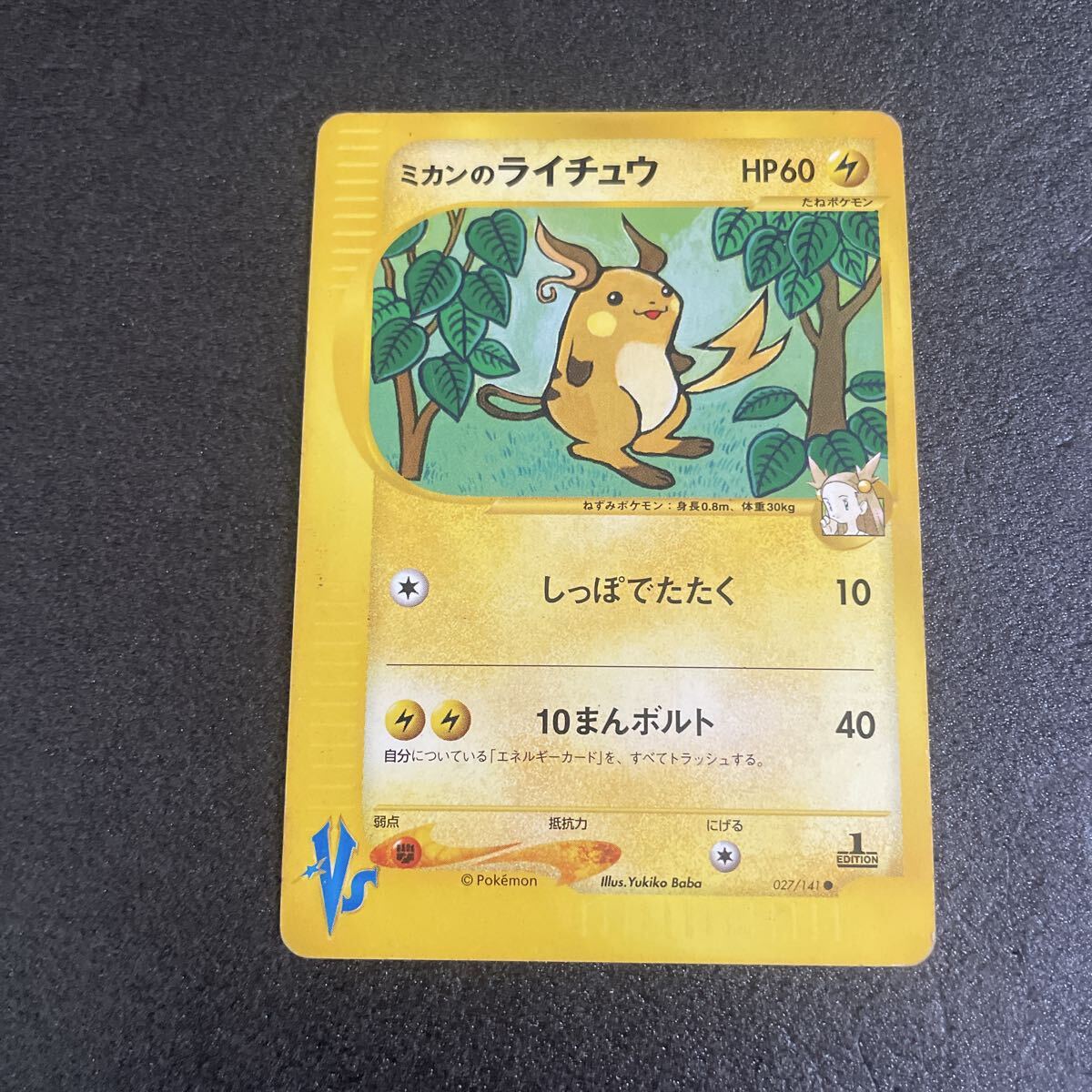 Yahoo!オークション -「ミカンのライチュウ」の落札相場・落札価格