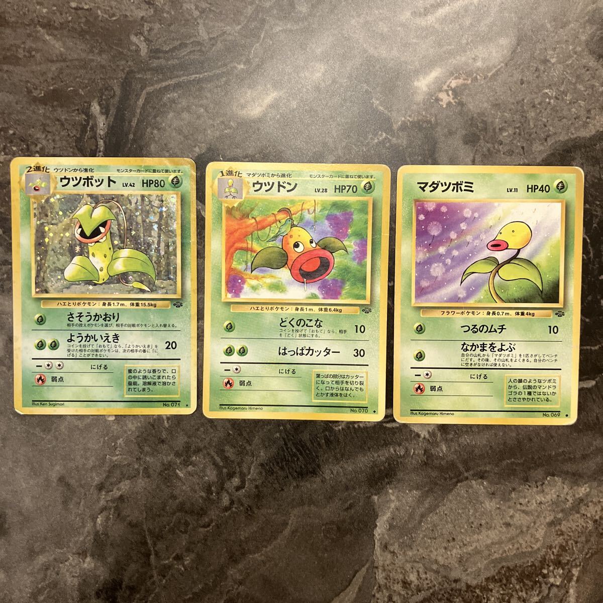 Yahoo!オークション -「旧裏 ウツボット」の落札相場・落札価格