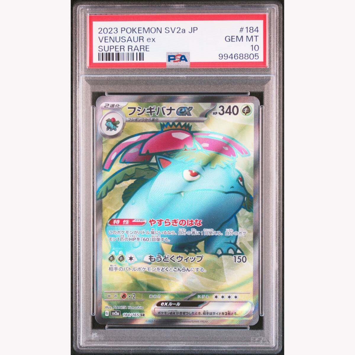 PSA10】フシギバナex SR SV2a 151 184/165｜Yahoo!フリマ（旧PayPay