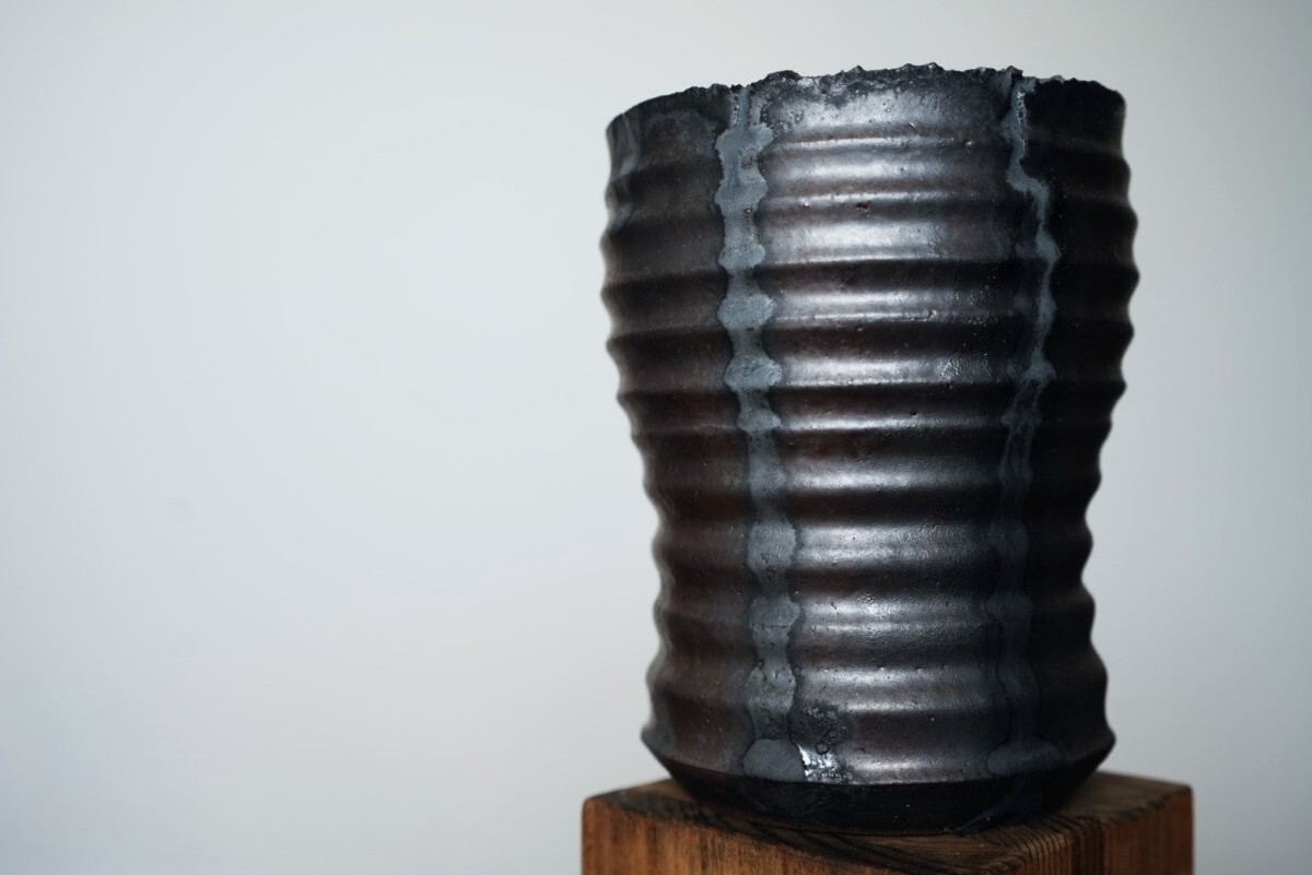 山中勇人 作家鉢 特大鉢 植木鉢 パキプス グラキリス アガベ 塊根 y鉢