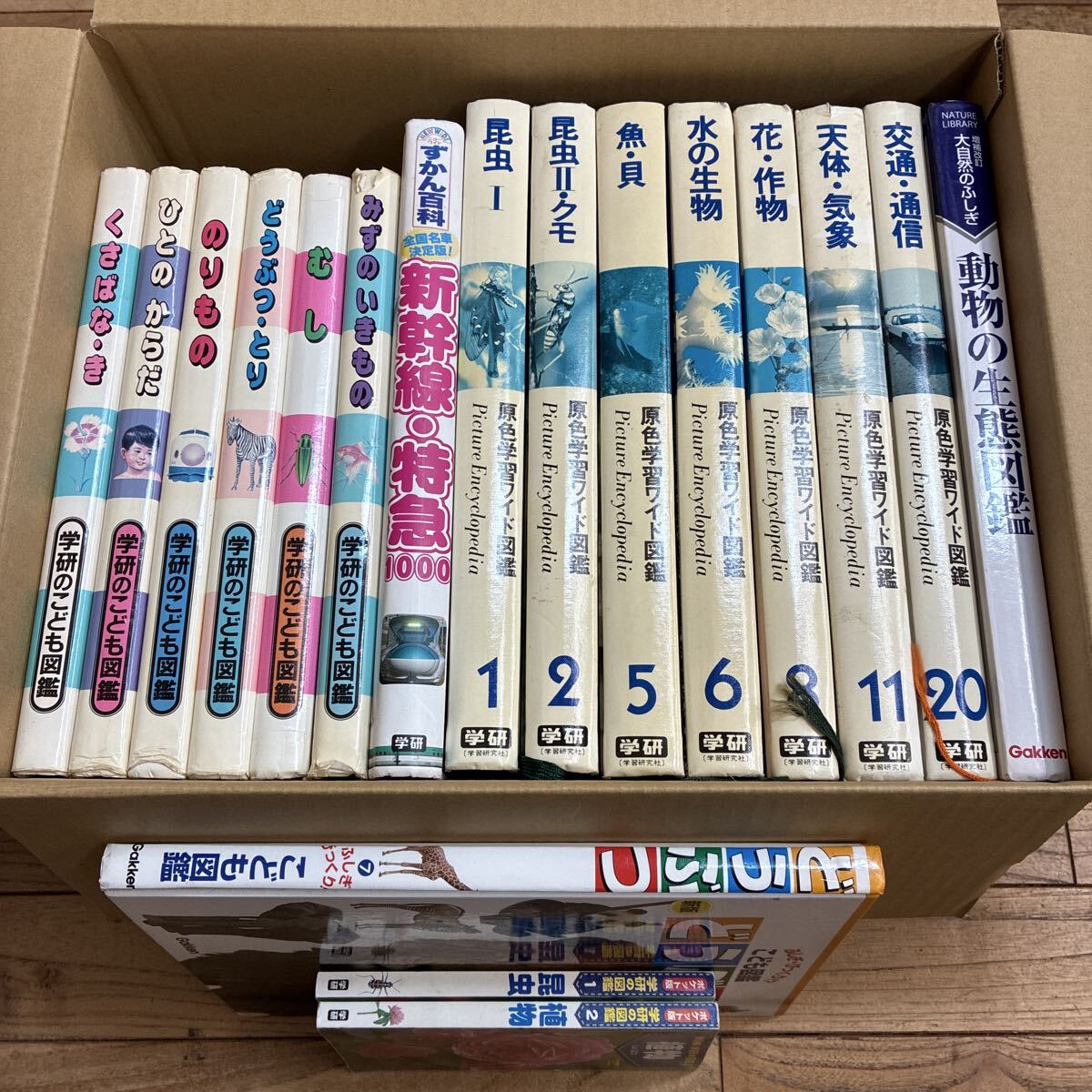 2026年最新】Yahoo!オークション -原色学習ワイド図鑑の中古品・新品