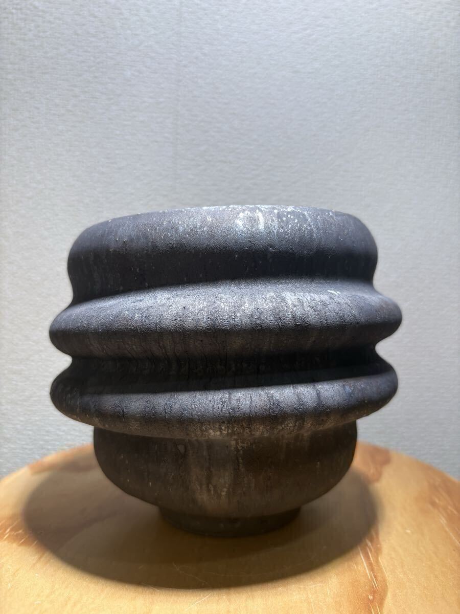 Yahoo!オークション -「細川」(花、園芸) の落札相場・落札価格