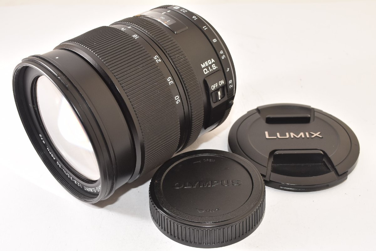 パナソニック LEICA D VARIO-ELMARIT 14-50mm F2.8-3.5 ASPH. L