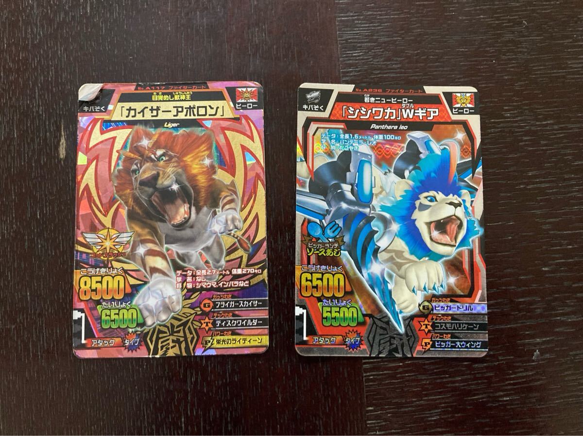 安いアニマルカイザー カイザーシシワカの通販商品を比較