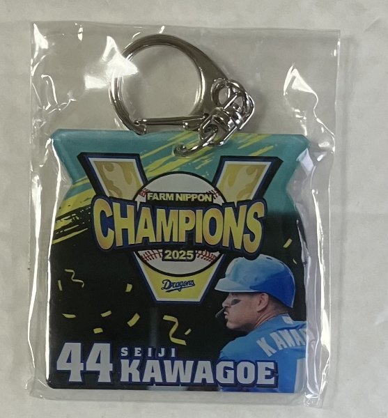 Yahoo!オークション -「ドラゴンズ ファンフェスタ」の落札相場・落札価格