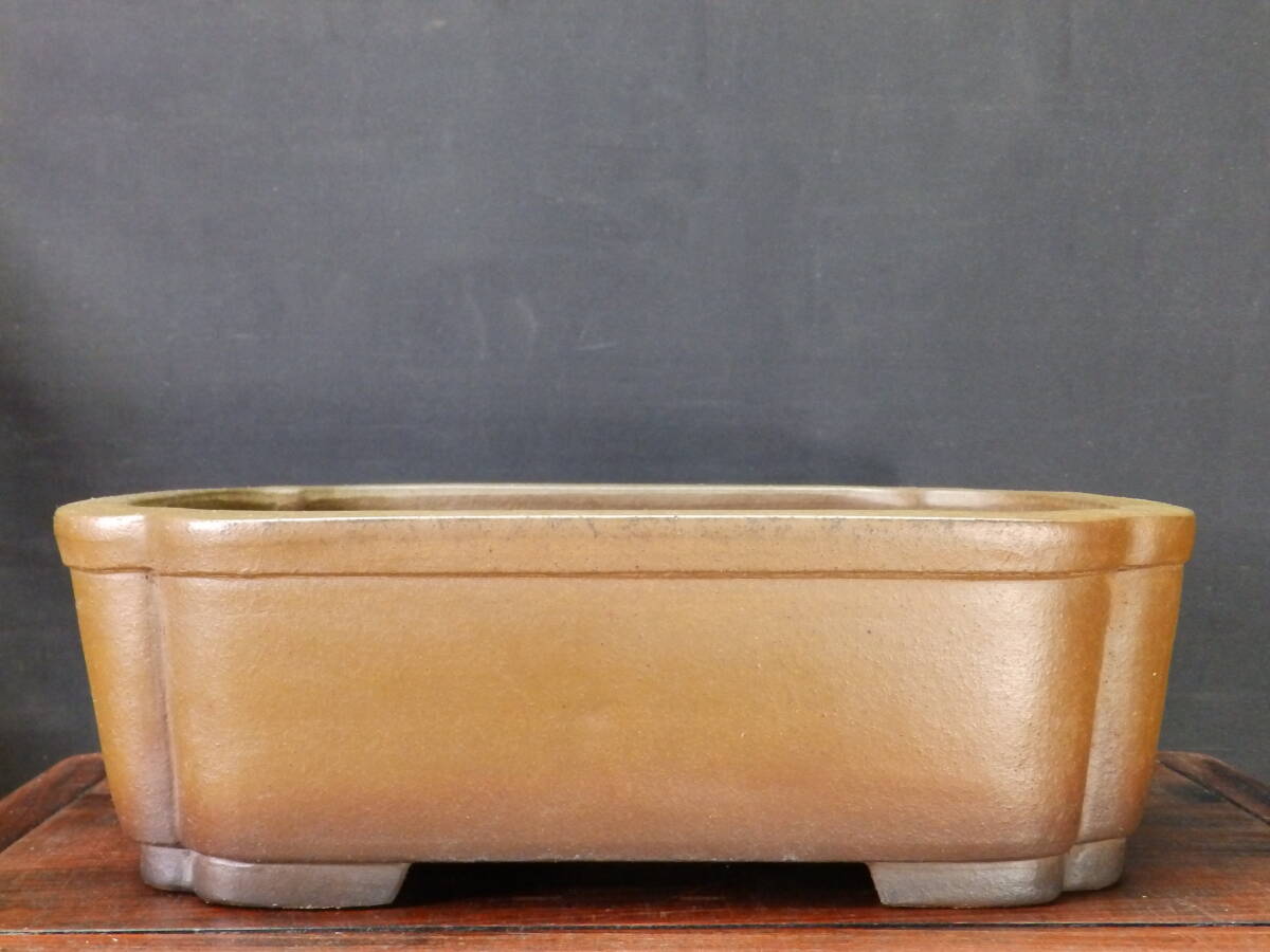 Yahoo!オークション -「盆栽鉢中野行山」(花、園芸) の落札相場・落札価格