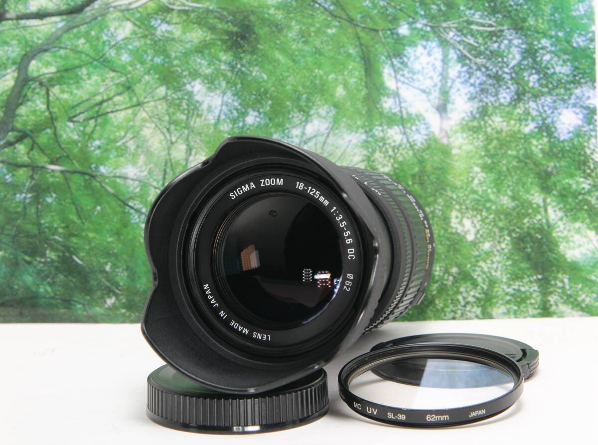 2026年最新】Yahoo!オークション -シグマ 18-125の中古品・新品・未