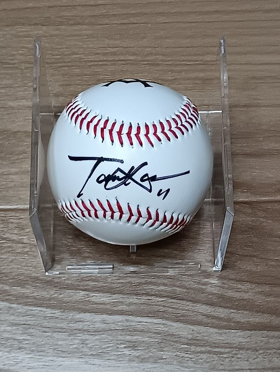 巨人 読売ジャイアンツ 菅野智之 19 直筆 サインボール 投げ込み