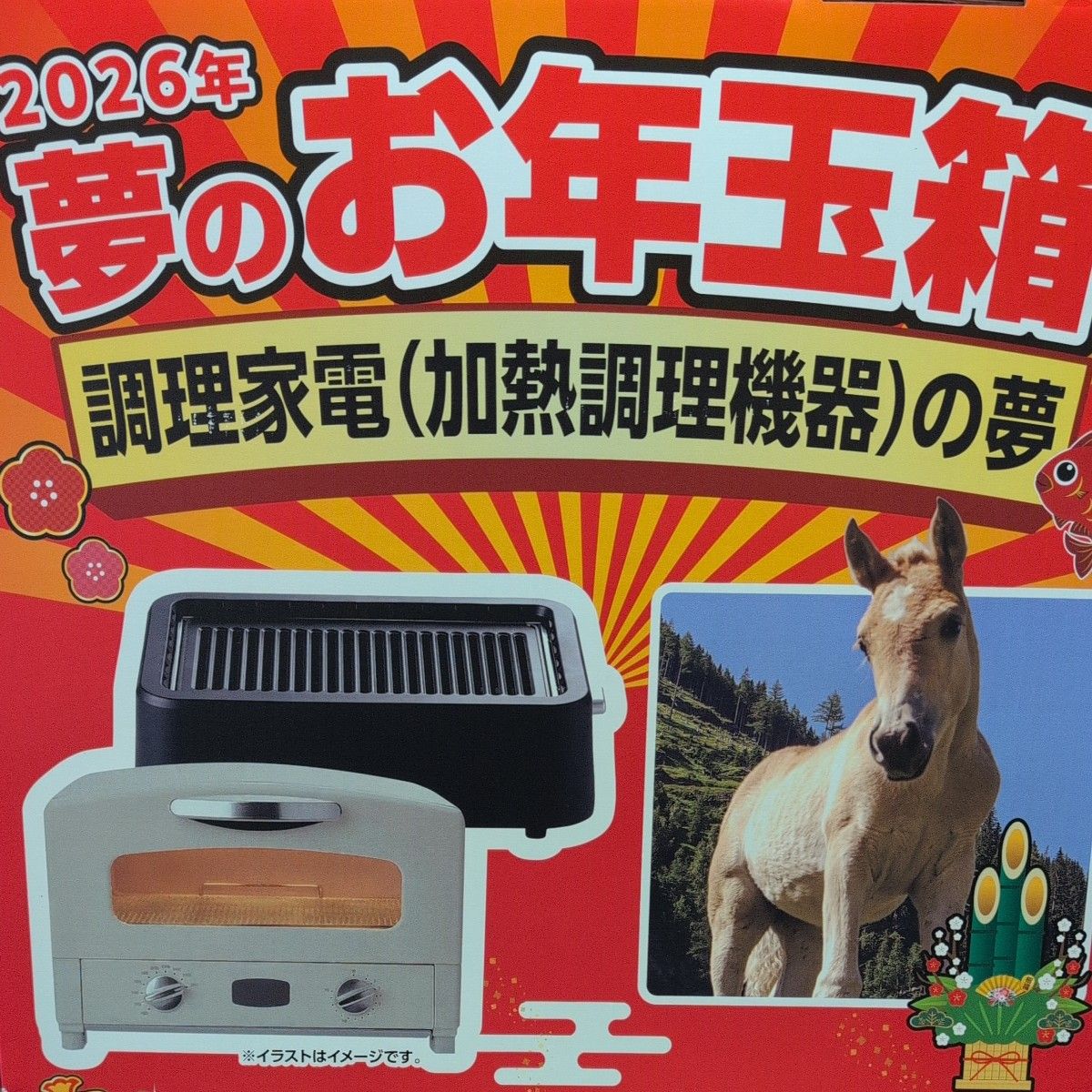 ヨドバシカメラ 夢のお年玉箱2026 調理家電（フライヤー 圧力鍋）の夢