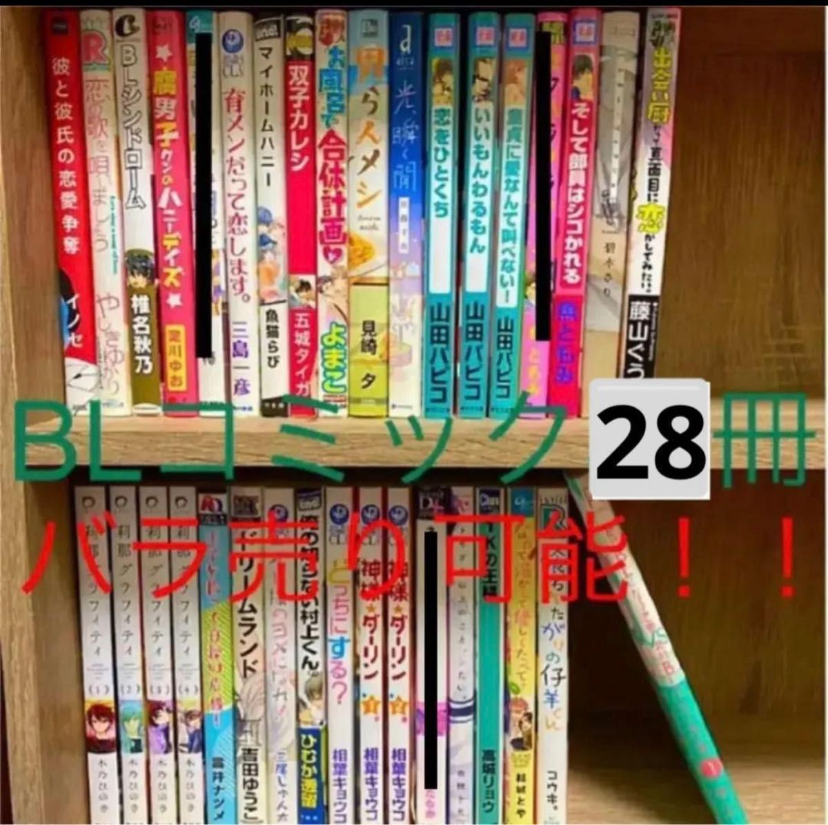 BL本28冊セット バラ売り不可 BLコミック ボーイズラブ 漫画 まとめ