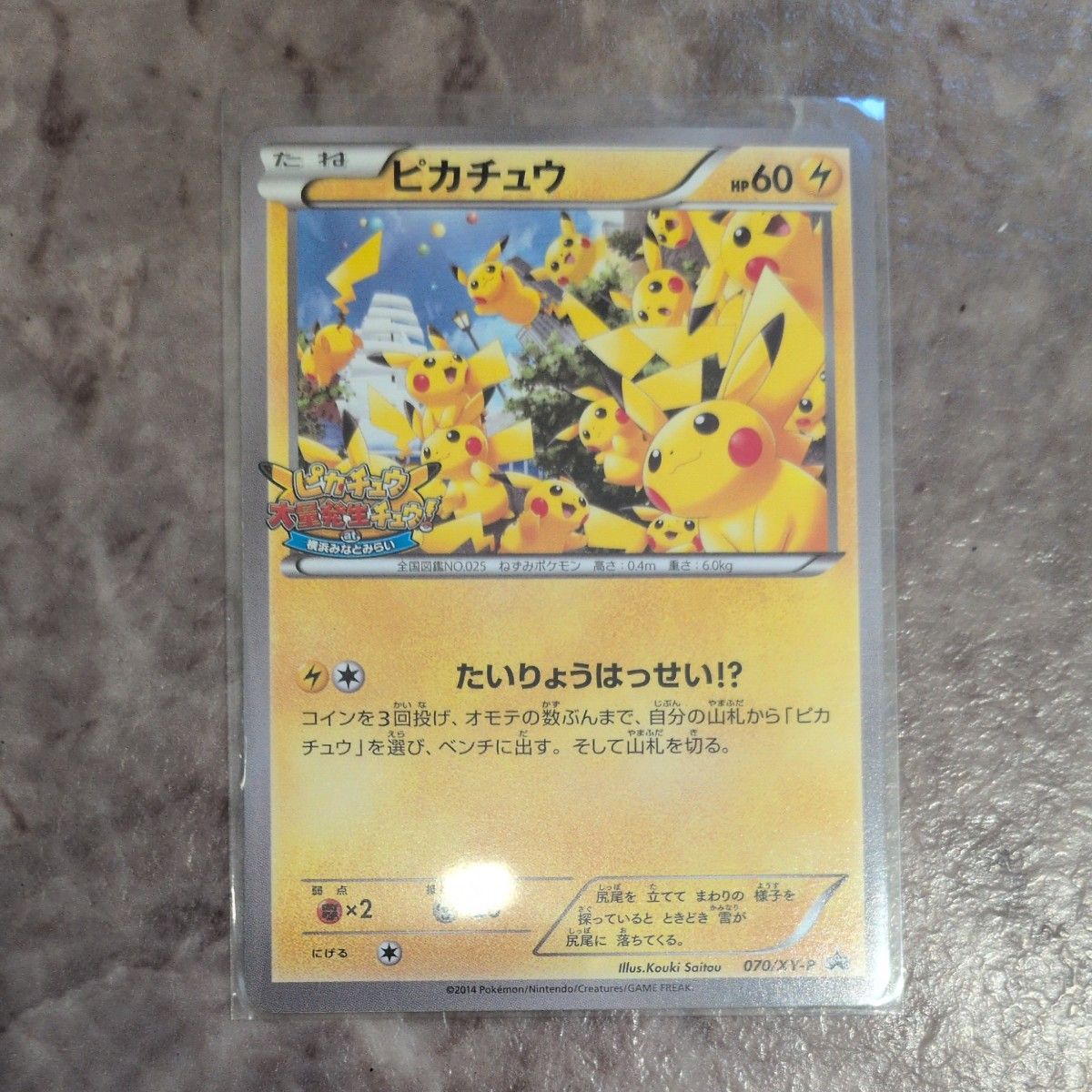 Yahoo!オークション - 「ピカチュウ大量発生チュウ」の落札相場・落札価格