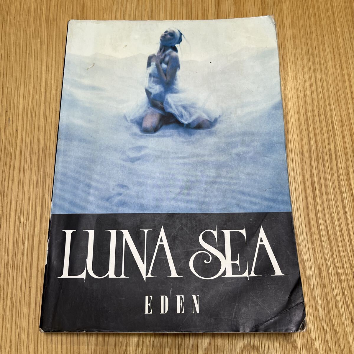 2026年最新】Yahoo!オークション -luna sea バンドスコアの中古品