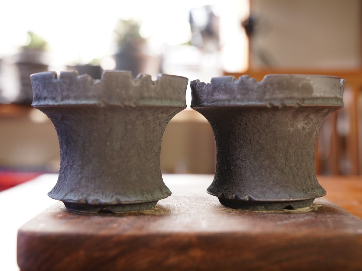 2026年最新】Yahoo!オークション -valiem鉢の中古品・新品・未使用品一覧