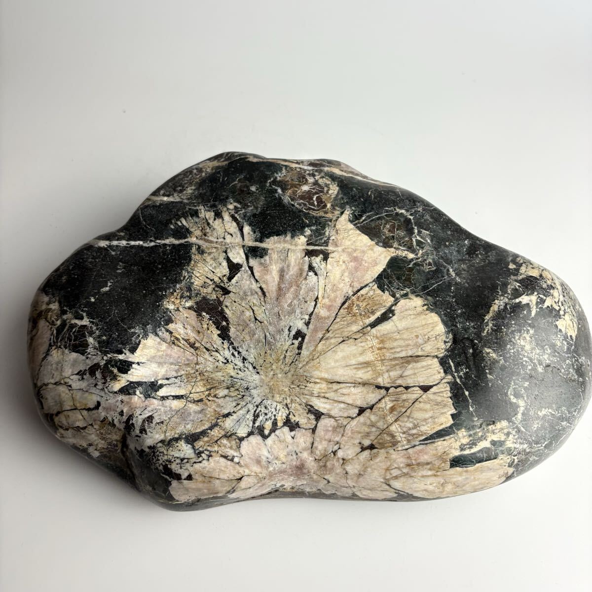 Yahoo!オークション - 「紋石」の落札相場・落札価格