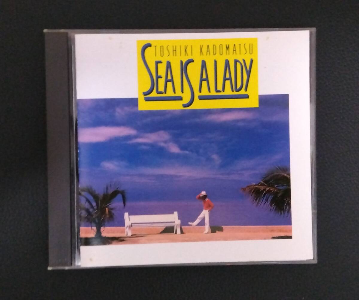 2026年最新】Yahoo!オークション -角松敏生 sea is a ladyの中古品