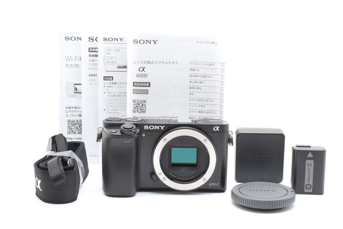 2026年最新】ソニー α6000 ミラーレス一眼カメラの選び方・お得な商品
