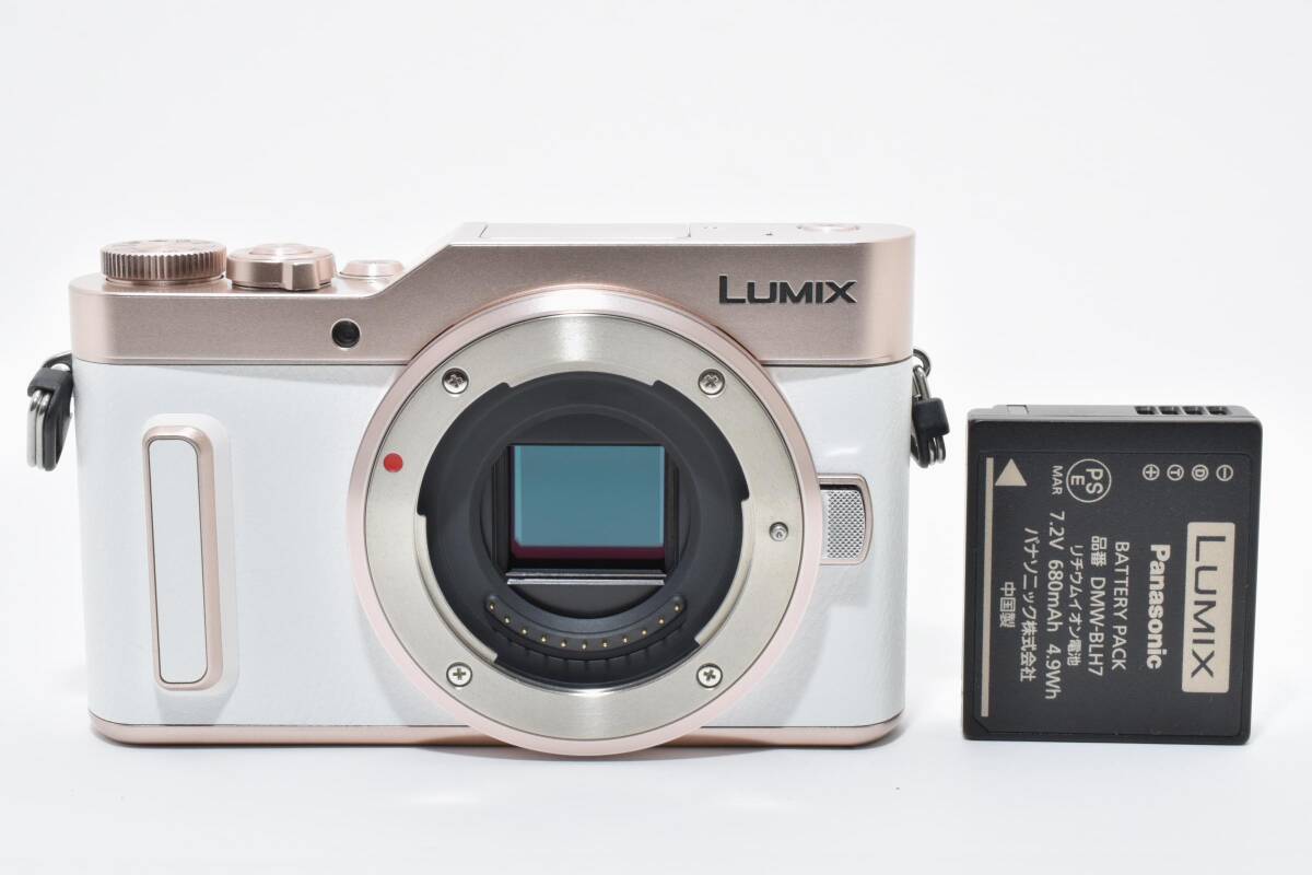 2026年最新】Yahoo!オークション -panasonic lumix dc-gf10の中古品