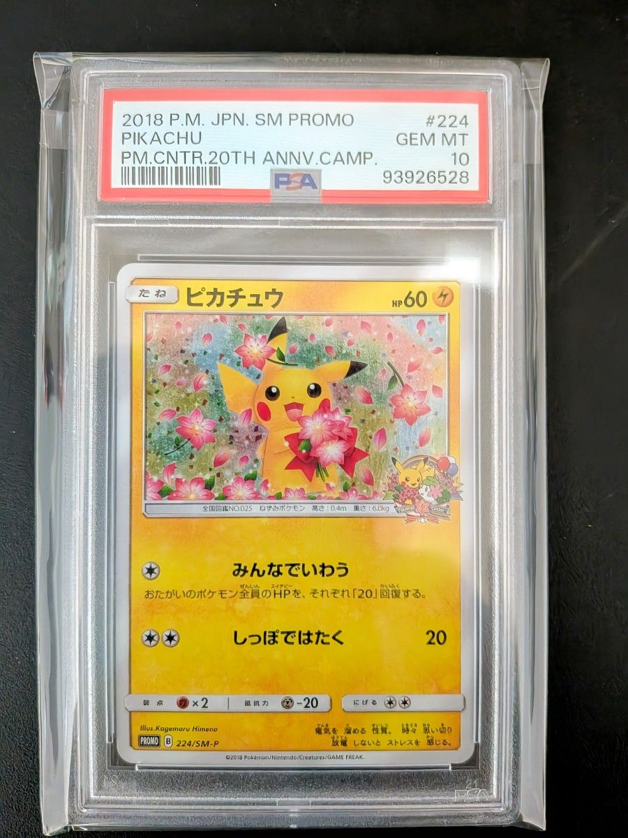 PSA8 日本代表のピカチュウ 050/XY-P プロモ PIKACHU XY-P ポケモン