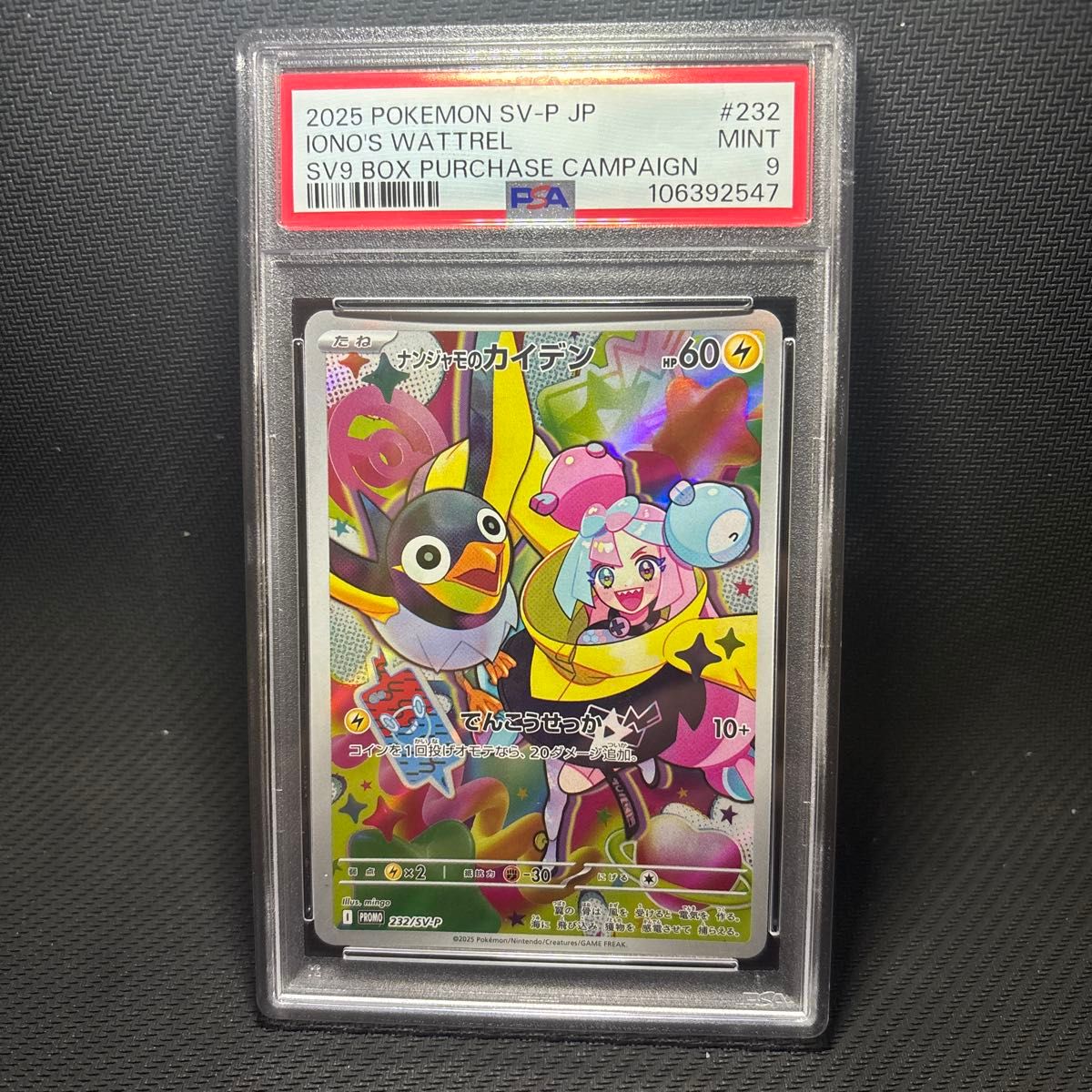 ポケモンカード ナンジャモのカイデン プロモ 232/SV-P 未開封｜Yahoo