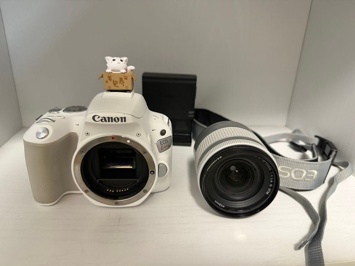 シャッター数新品級 Canon EOS kiss x10 希少シルバーカラー 93k5722