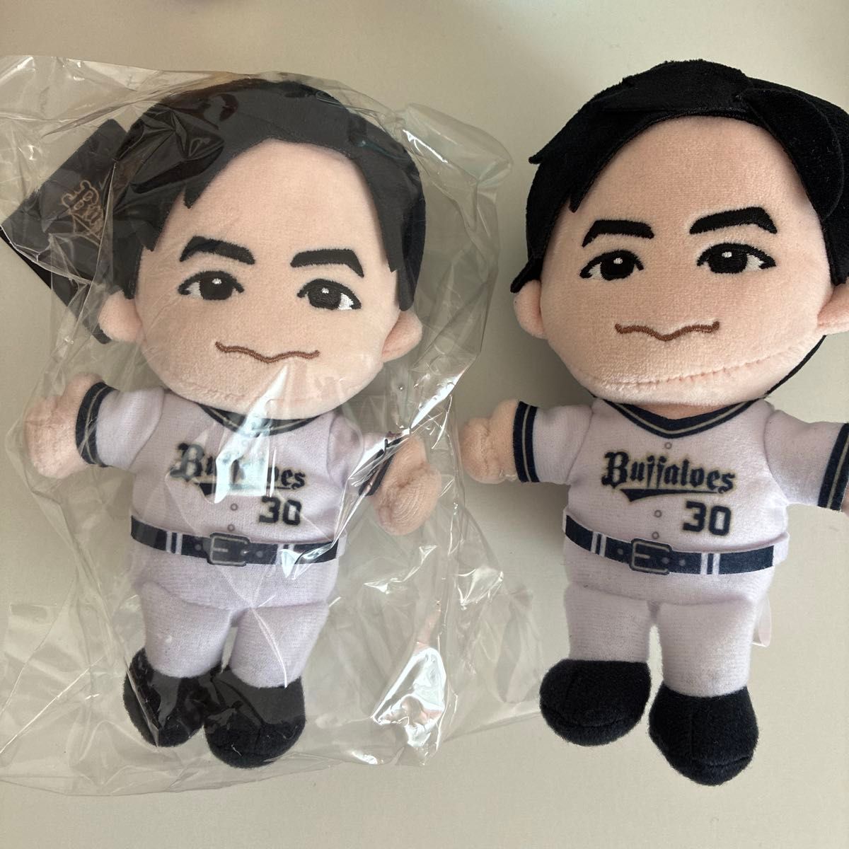 埼玉西武ライオンズ ピンバッジ 21個セット レオ 中村剛也 鈴木翔平