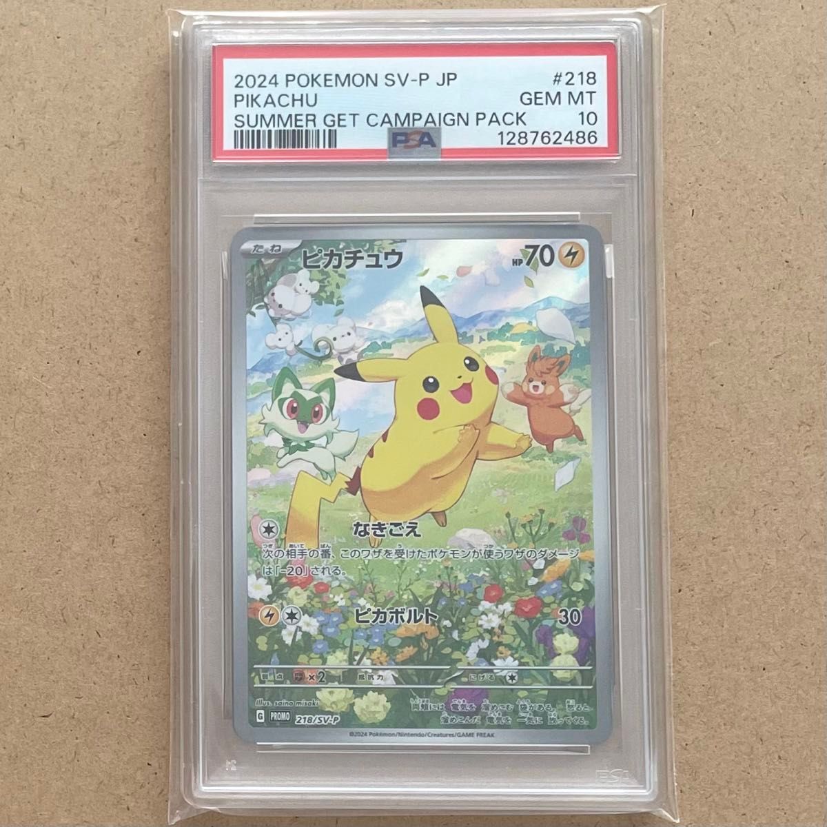 PSA10 ピカチュウ YU NAGABA プロモ 208/S-P ポケモンカード｜Yahoo