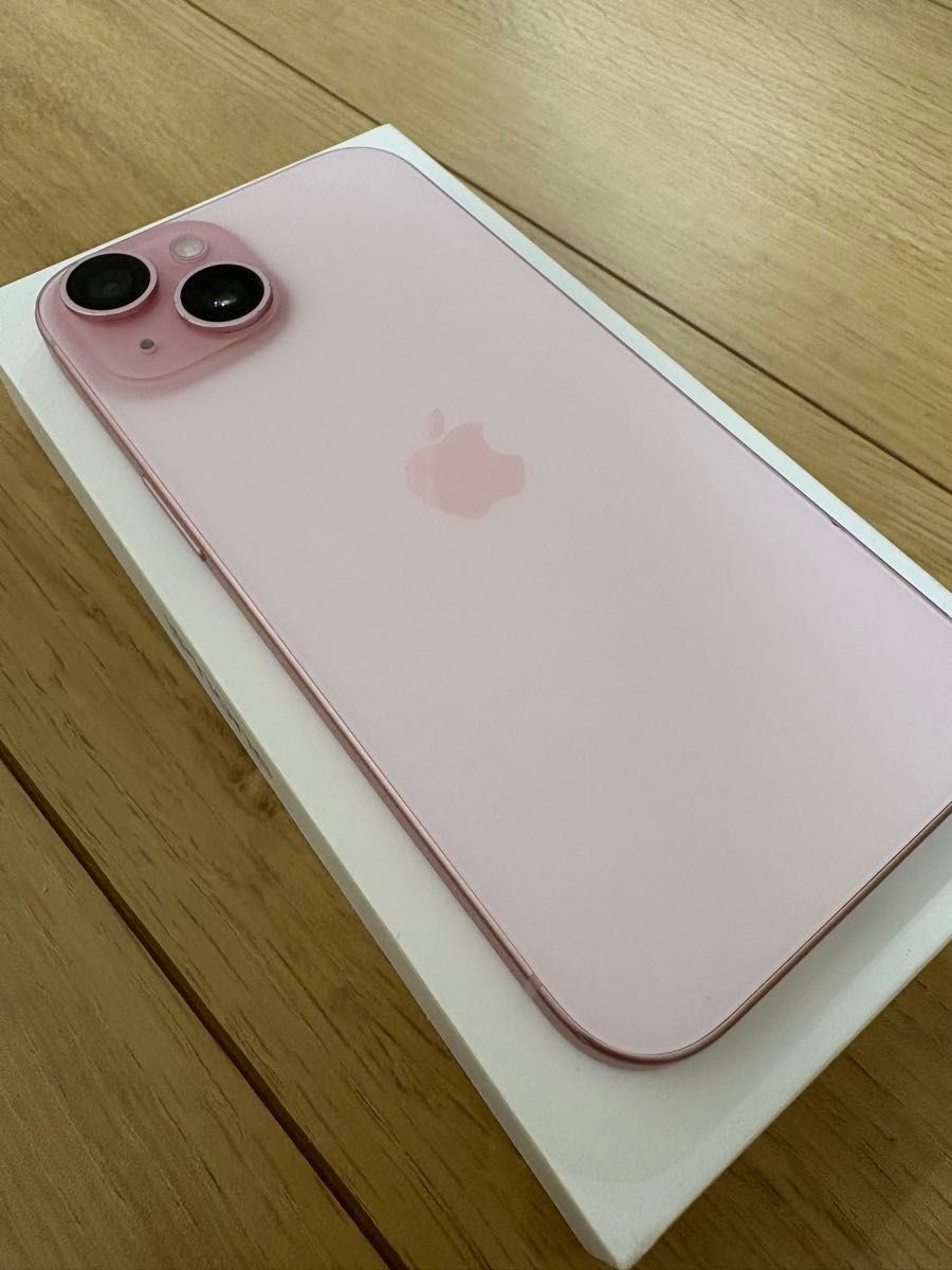 iPhone SE 第3世代 256GB ジャンク レッド 本体のみ｜Yahoo!フリマ（旧