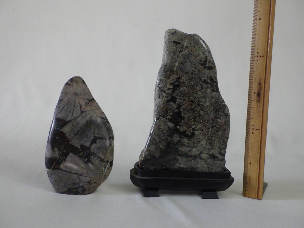 2026年最新】菊花石の魅力的な原石を探す - Yahoo!オークション