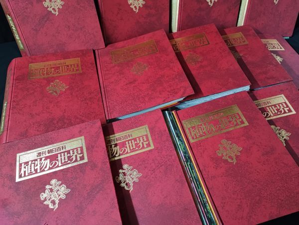 2026年最新】Yahoo!オークション -朝日百科 植物の世界の中古品・新品