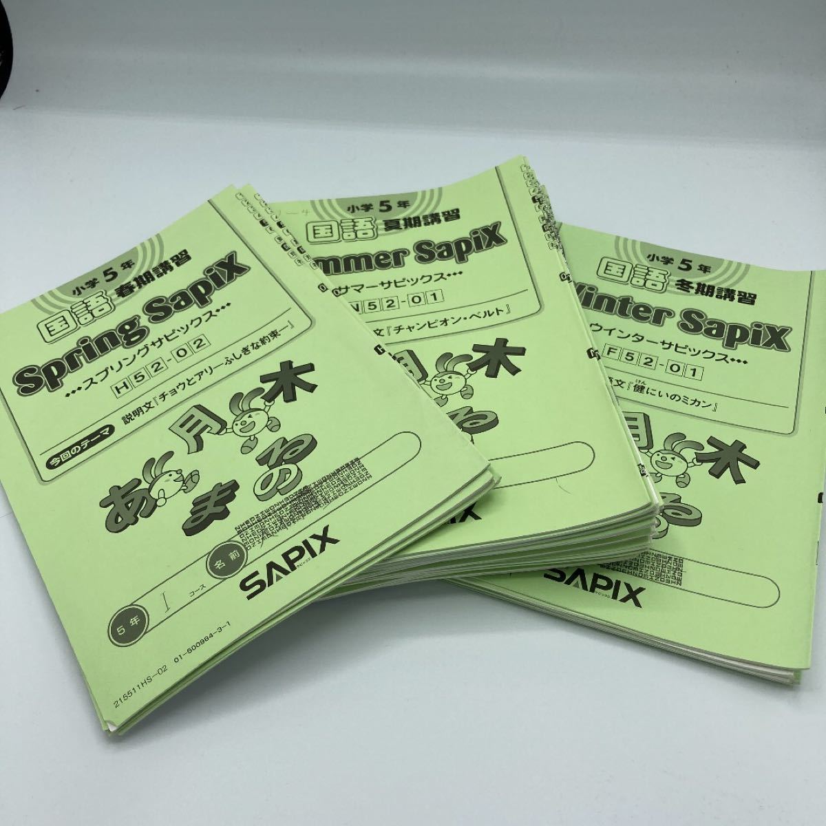 サピックス 5年生 国語読解 テキスト デイリーサピックス 小五 sapix