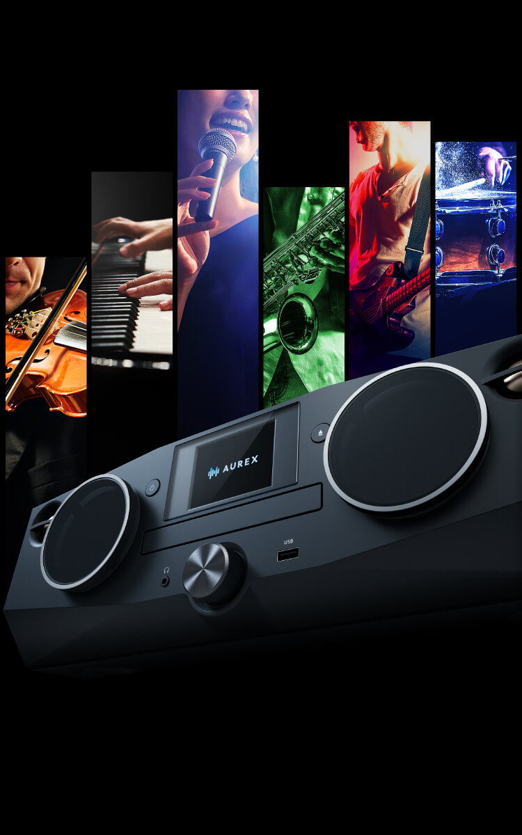 AX-XSS100（K） | ラインアップ | AUREX