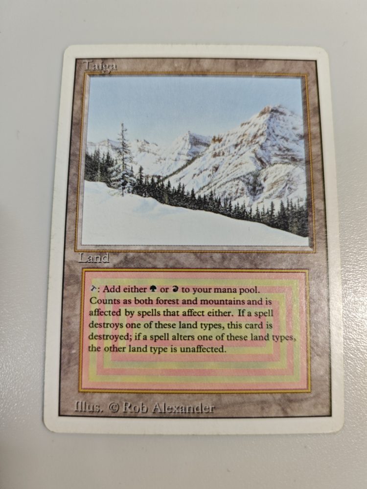 Taiga マジック：ザ・ギャザリング 土地カード 0287.jpg