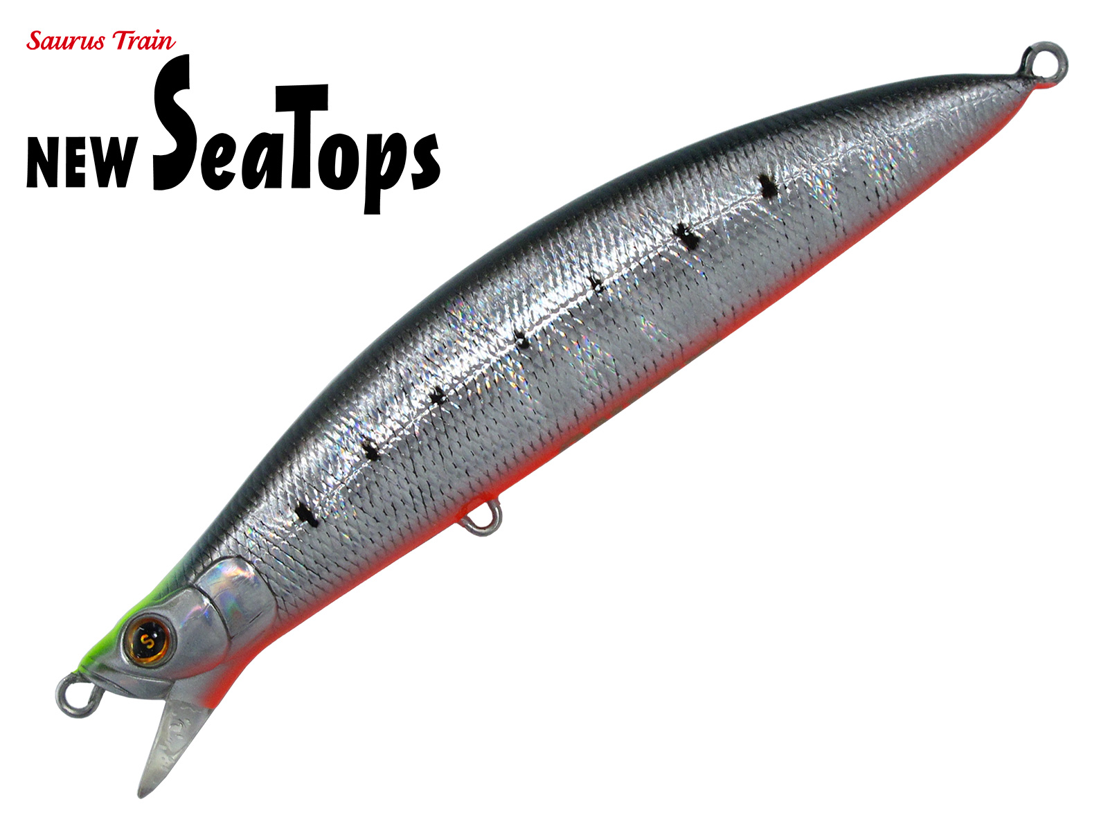 SAURUS | ザウルス