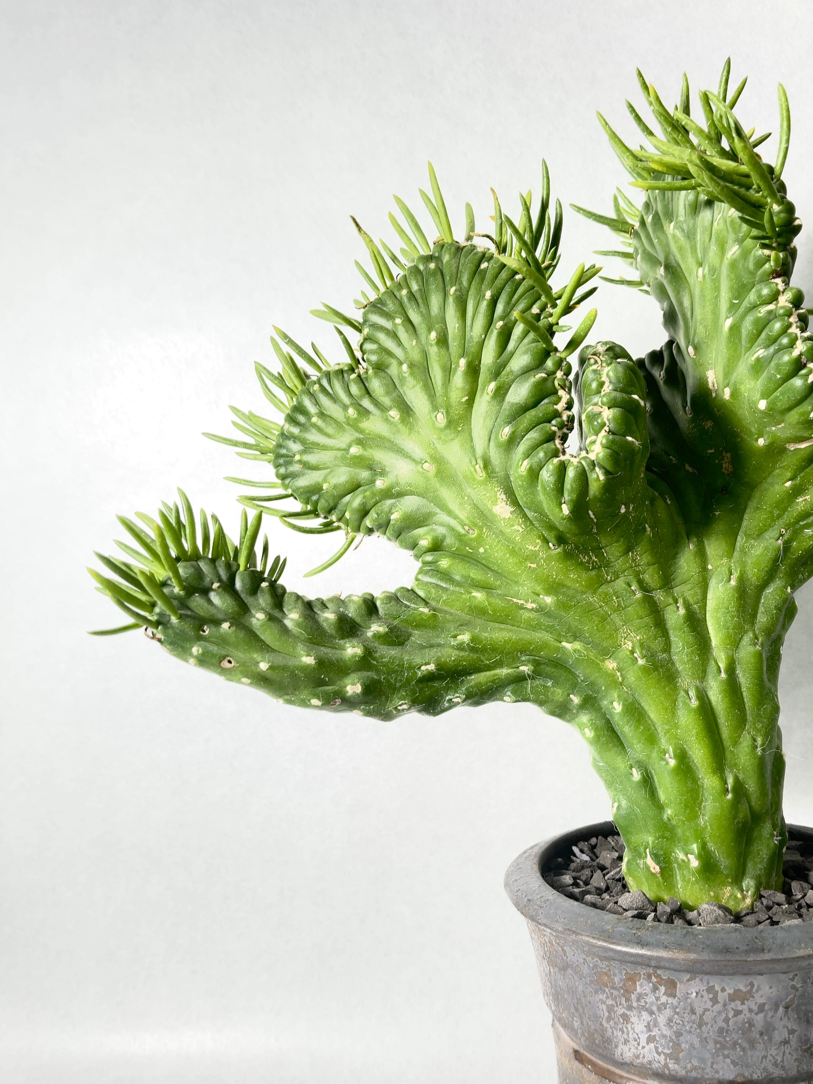 40b2c40220c94deb714365ec83036a