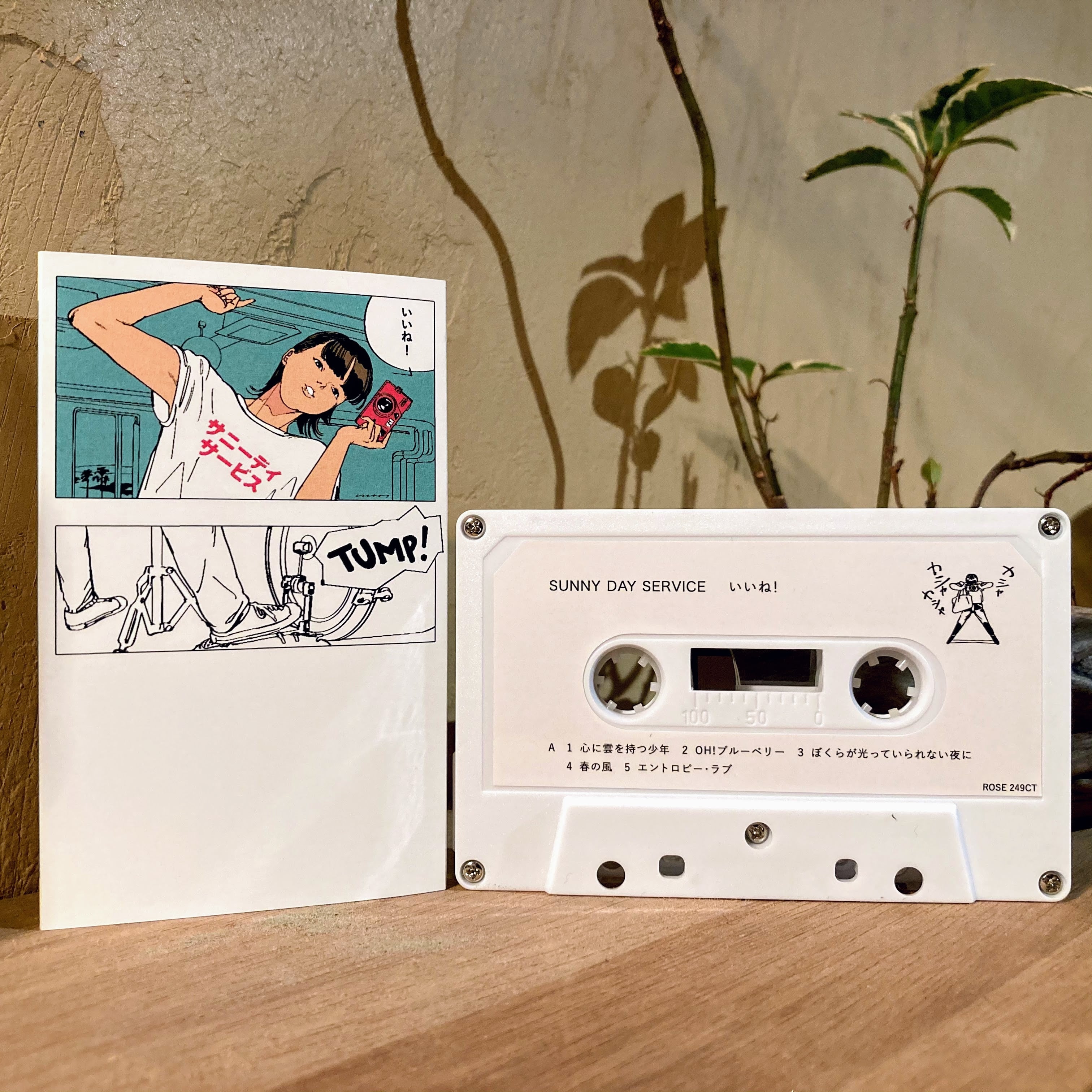 サニーデイ・サービス (Sunny Day Service) - いいね！ | ゴヰチカ商店