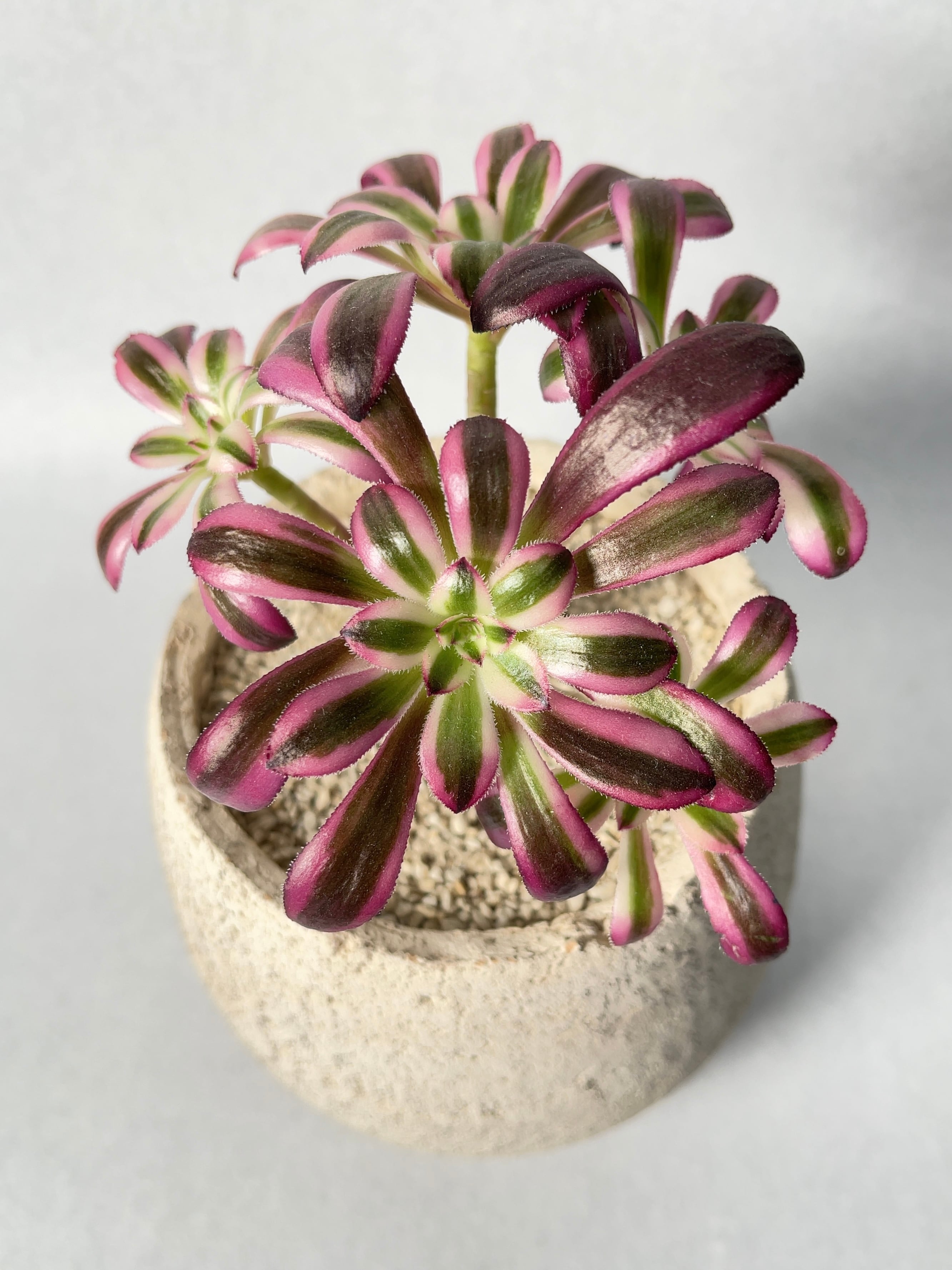 47ad59cd27adb64bf151b4e9399fea