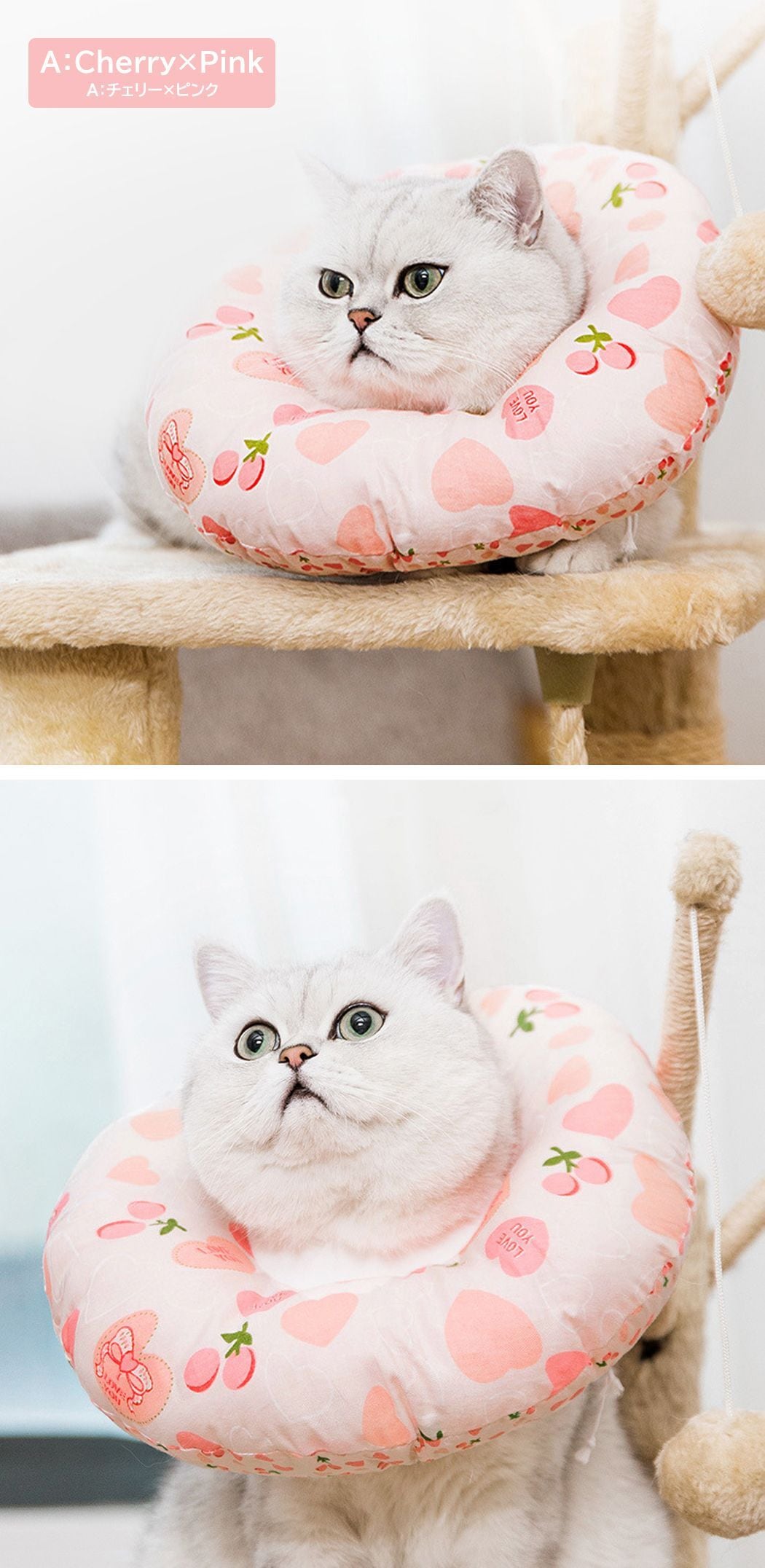 メール便】エリザベスカラー ペット用 犬 猫 ドーナツ型 介護