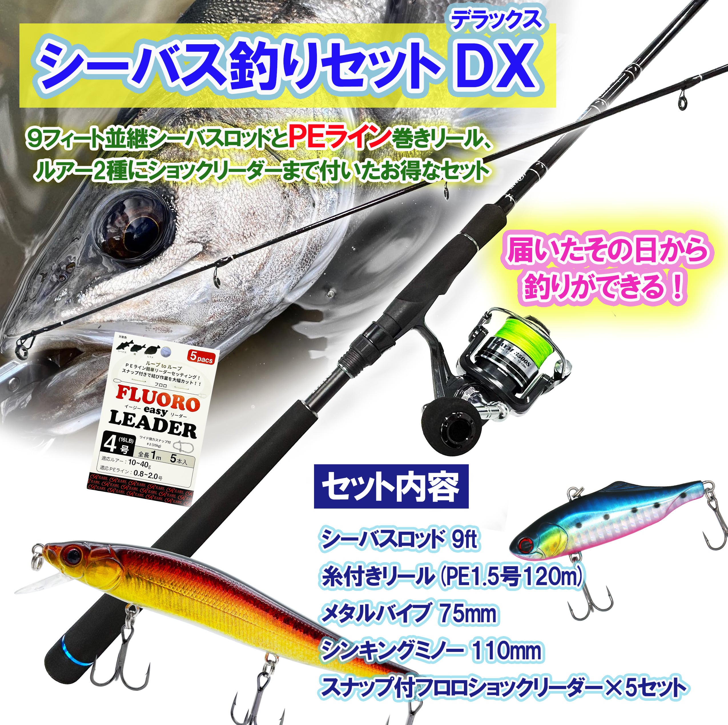 送料無料】シーバス釣りセットDX 9フィート 並継 PE付 竿リールセット