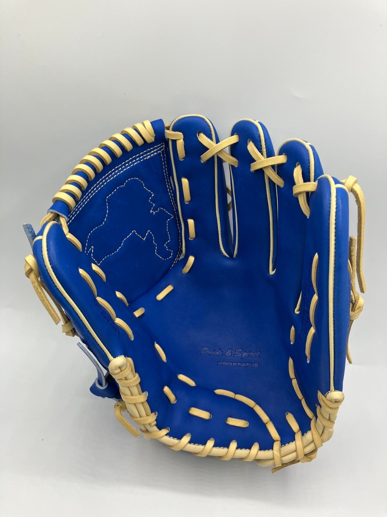 ZETT プロステイタス 限定軟式グラブ 千賀モデル | タケスポselect