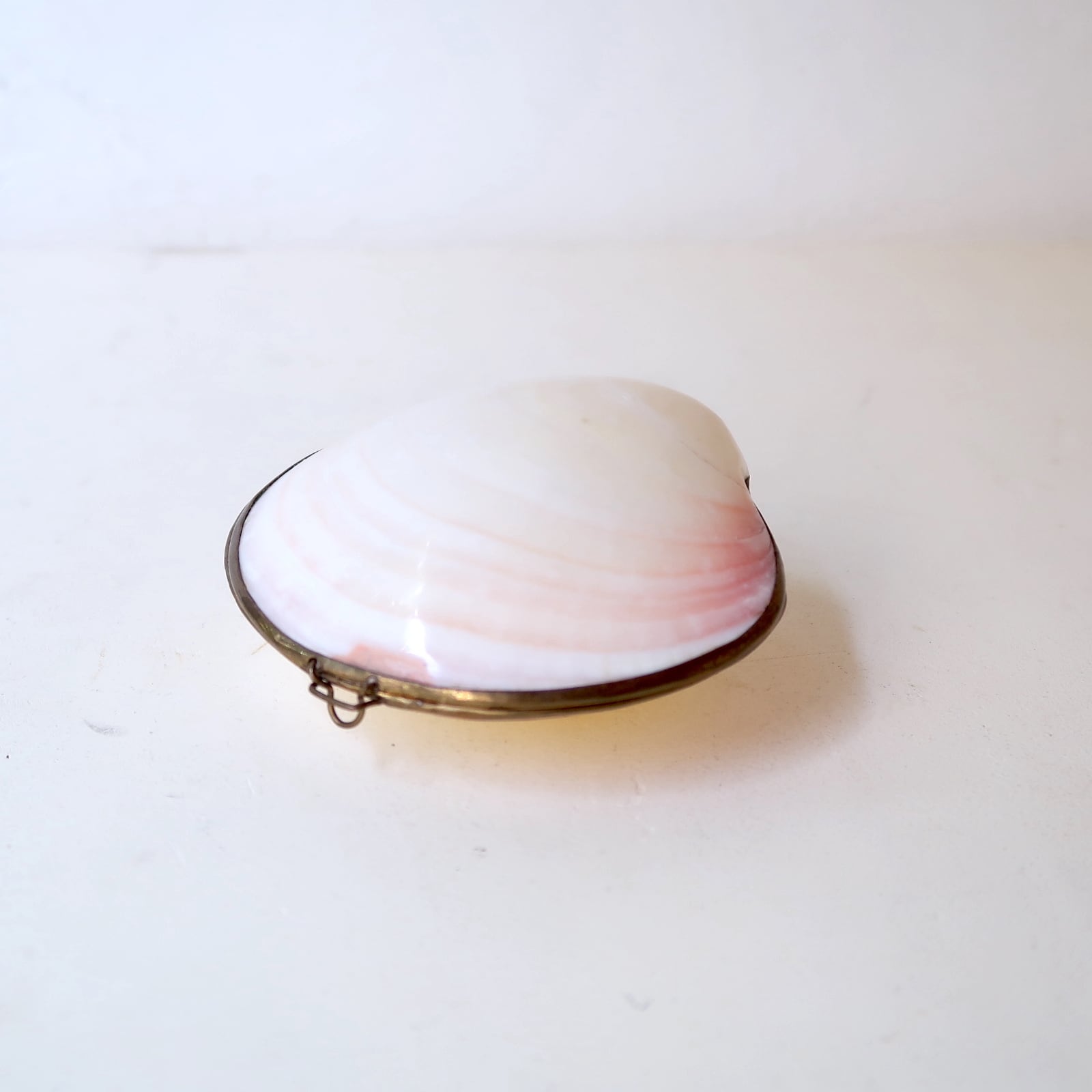 貝殻のアクセサリーケース | SUISUI