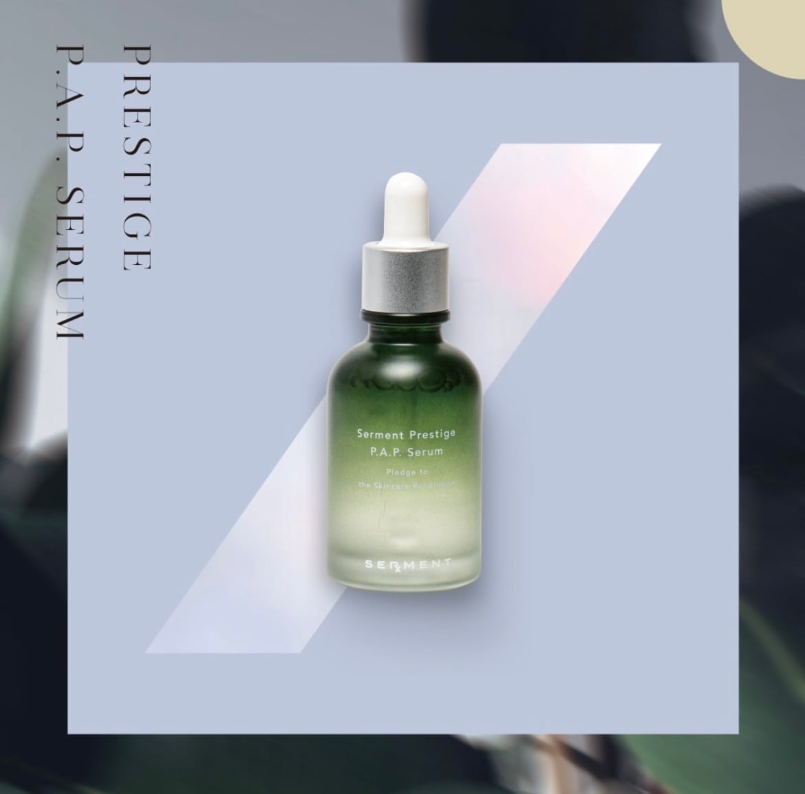 セルマン PAPクリーム | エヴィオンラインショップ