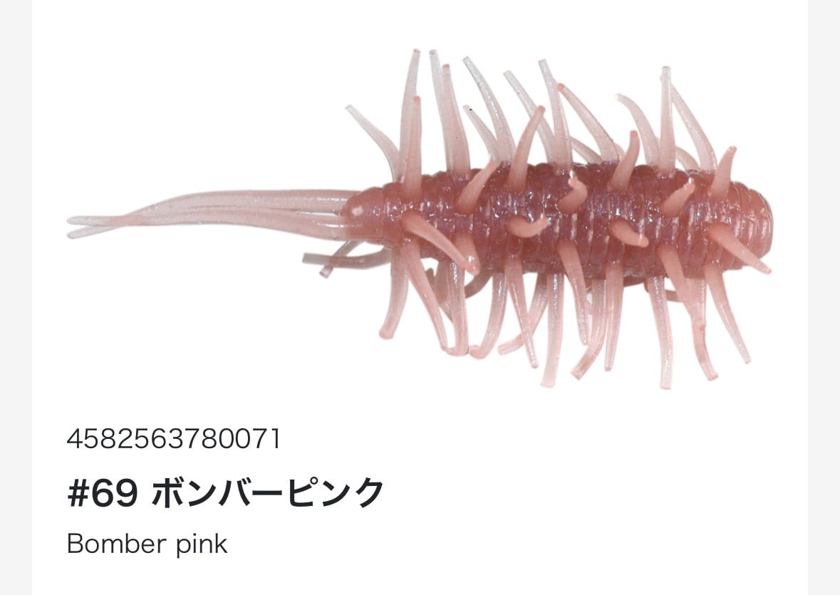 コイケシュリンプ | TRIBE NETSTORE