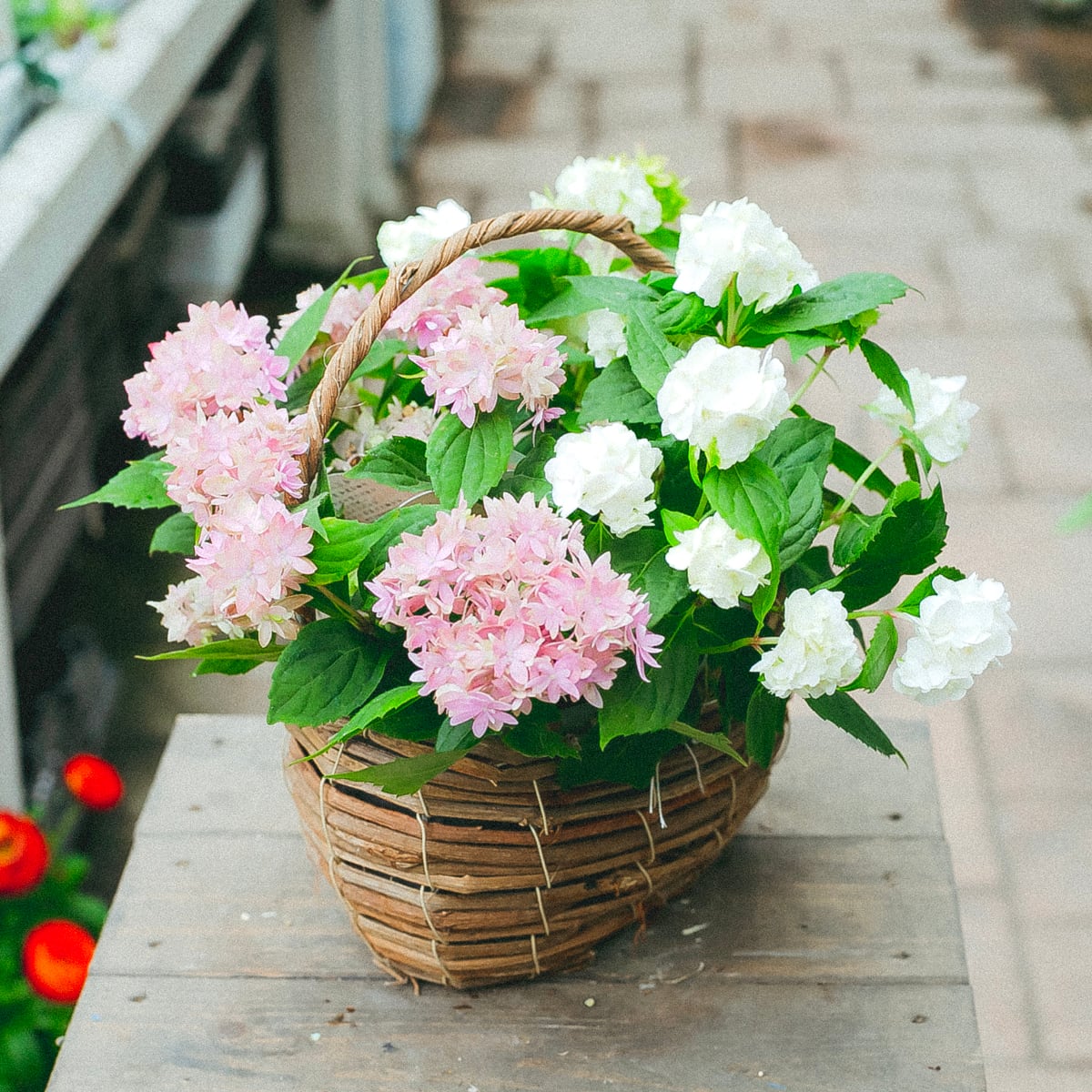 6ea0da16b3746d05244b6665ca73dc