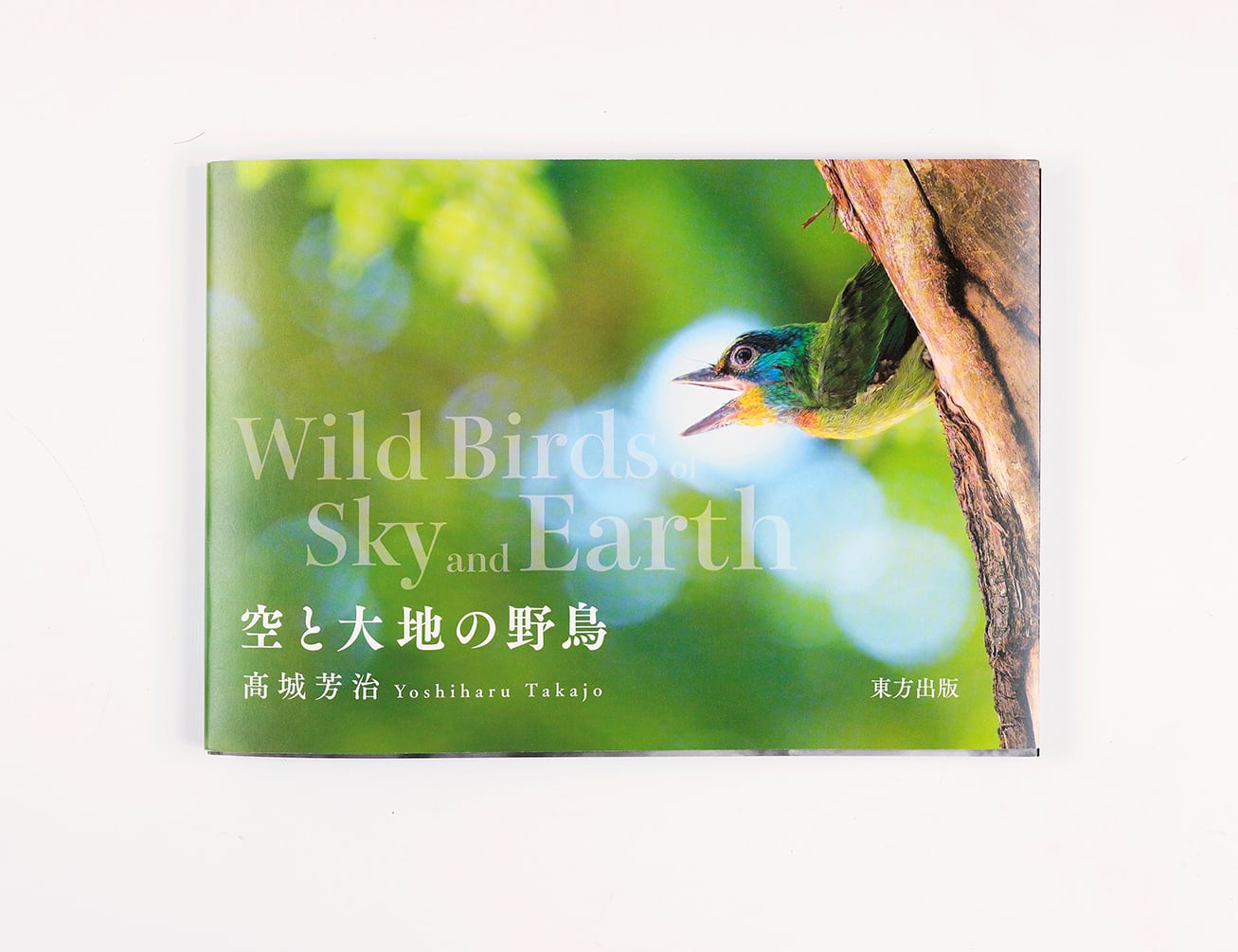 WS 結界の主小鳥+森の結界+新しい思い出静流 各4枚セット