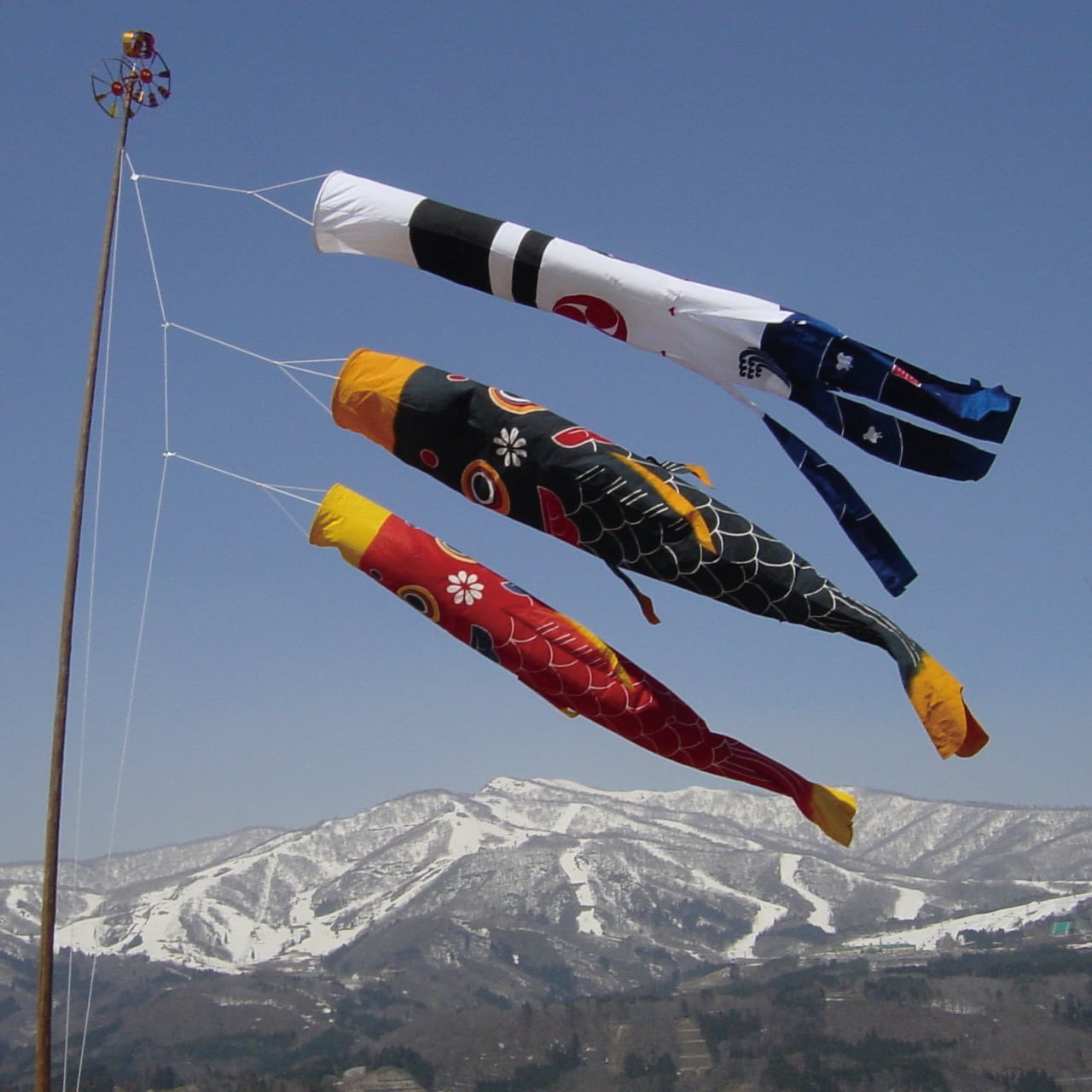 鯉のぼり3間物セット（5.5m鯉のぼりセット） | 郡上本染 渡辺染物店