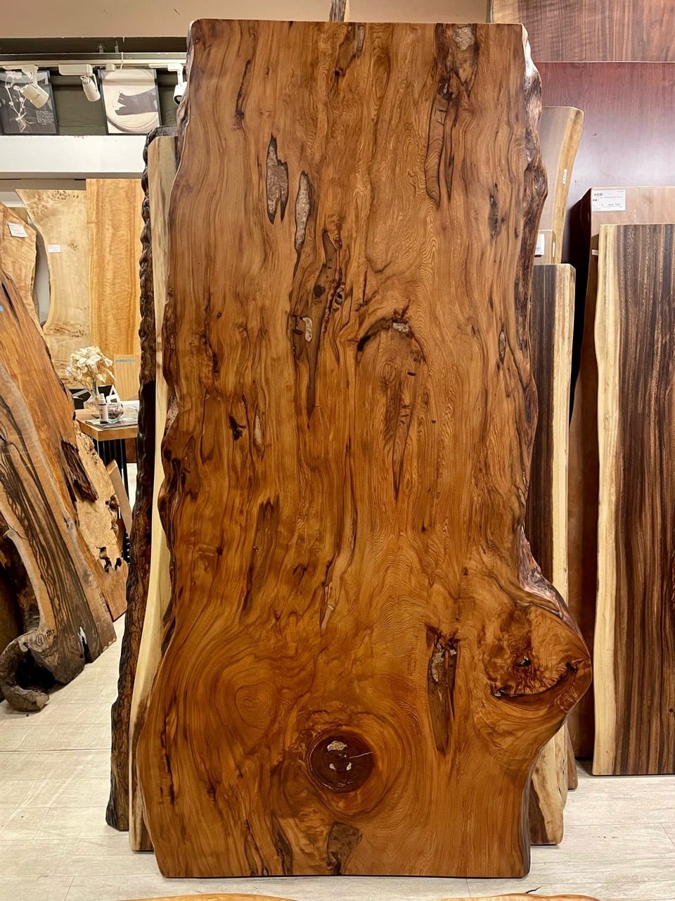 Premium】屋久杉（ヤクスギ）_1940×740-830-840×70_青山店_テーブル天