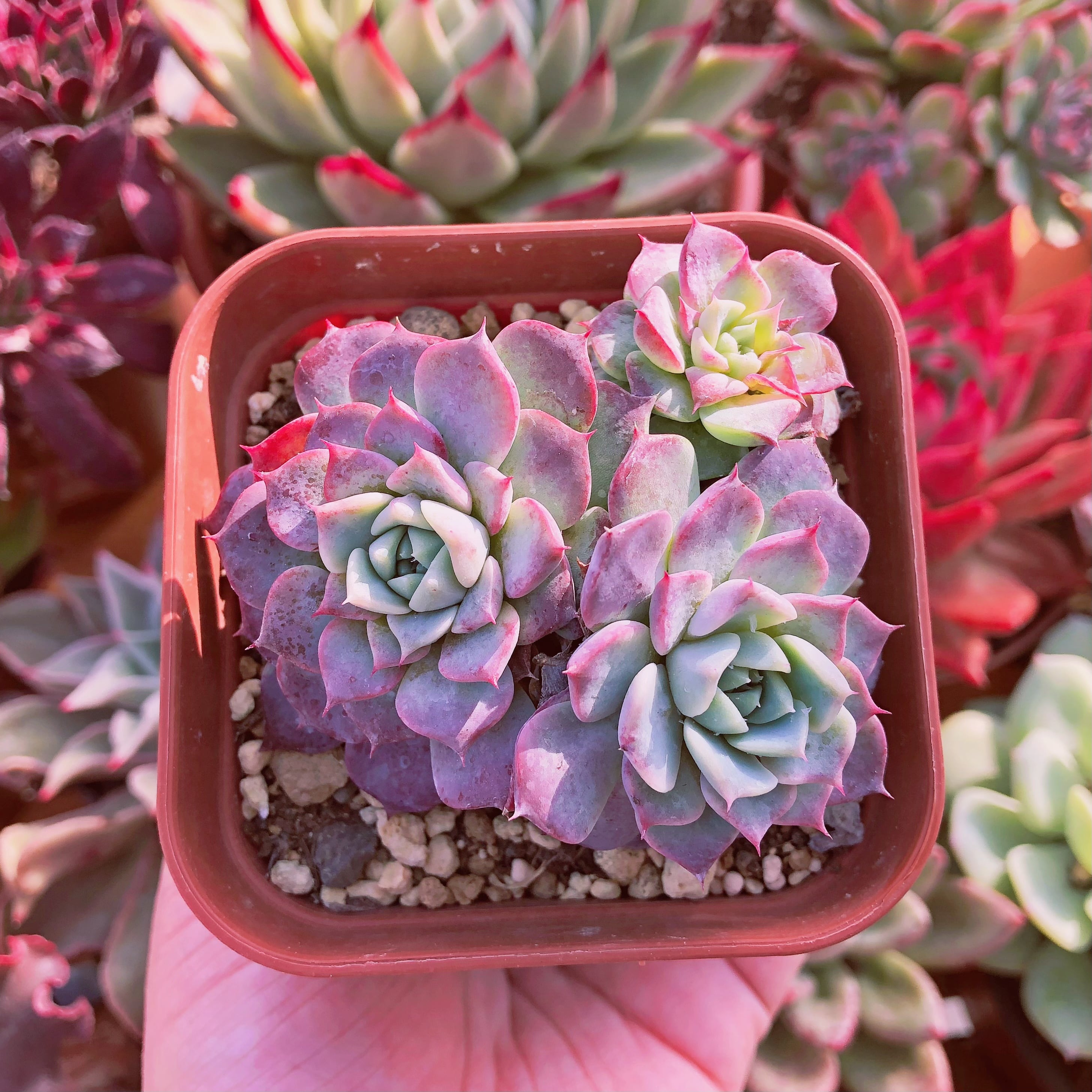 820745f1b9b75df3c045f17947b276