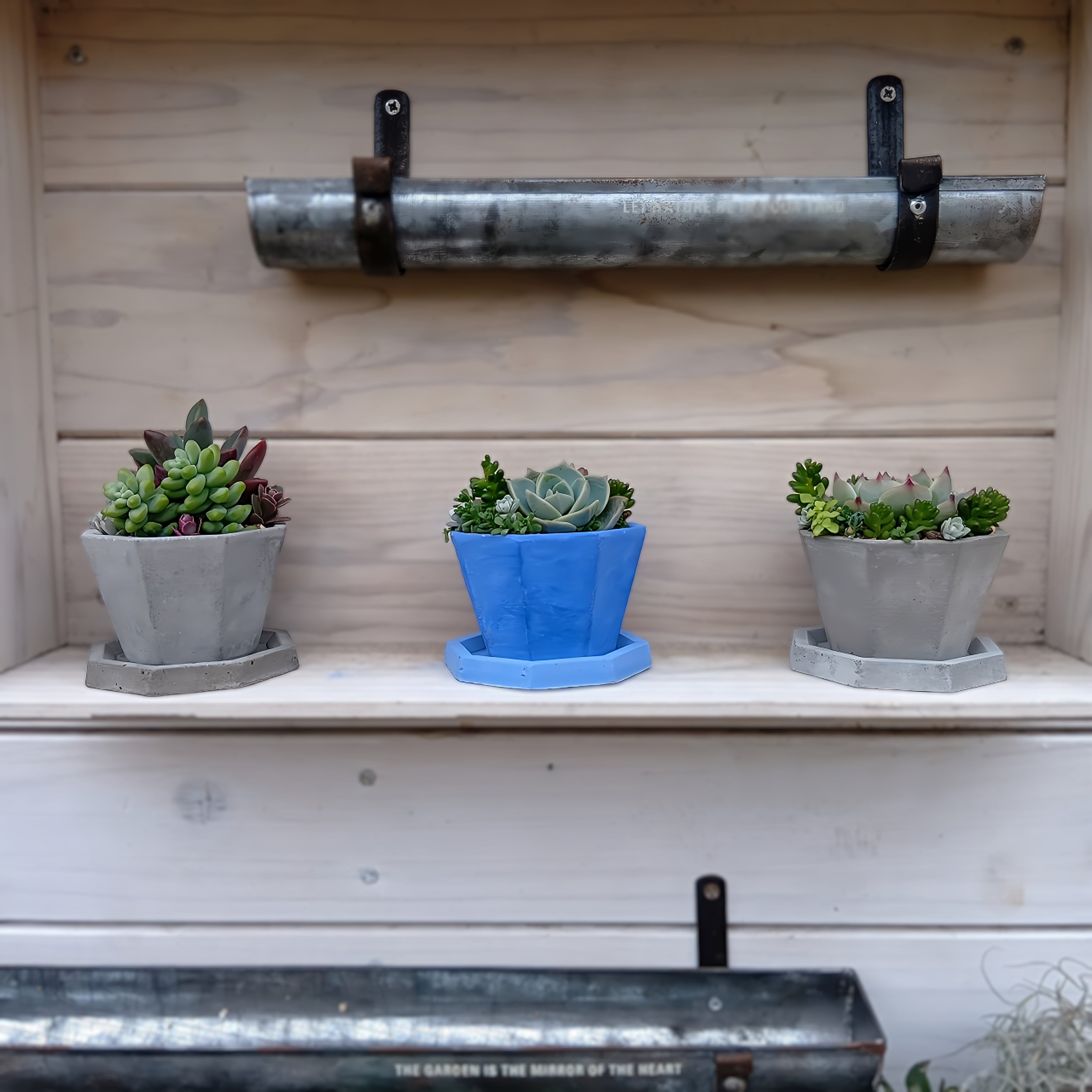 コンクリートプランター 八角形 極小 セット ガーデニング インテリア